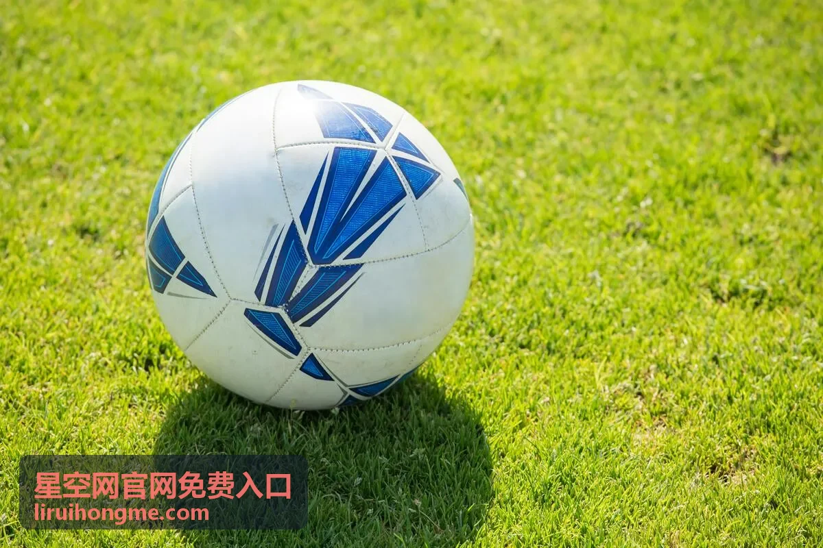 星空网官网免费入口公告与线路更新记录展示