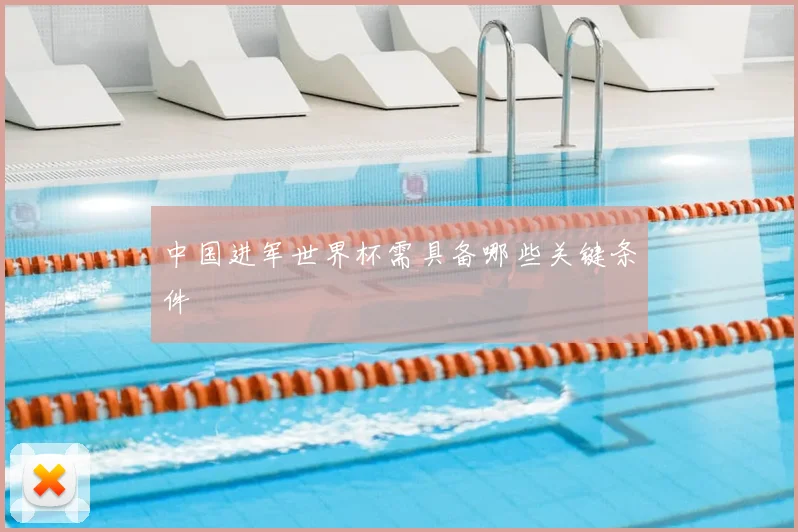 中国进军世界杯需具备哪些关键条件