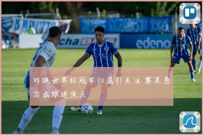 昨晚世界杯冠军归属引关注 赛果悬念成球迷焦点
