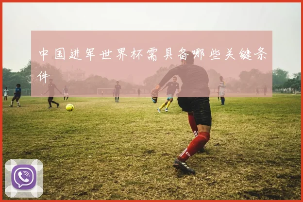 中国进军世界杯需具备哪些关键条件