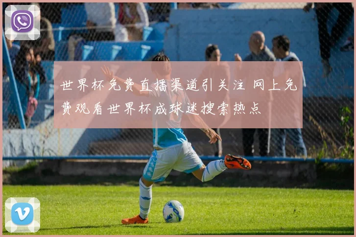 世界杯免费直播渠道引关注 网上免费观看世界杯成球迷搜索热点