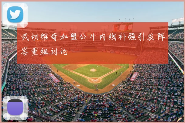 武切维奇加盟公牛内线补强引发阵容重组讨论