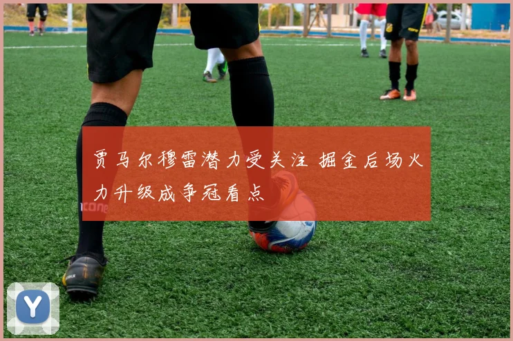 贾马尔穆雷潜力受关注 掘金后场火力升级成争冠看点