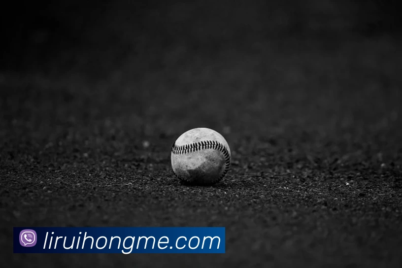 世界杯app官网平台生态图